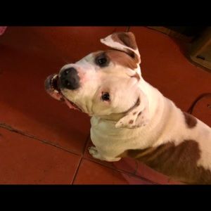 Meet your Posher, Shawn